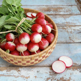 Sparkler, Radish Seeds
